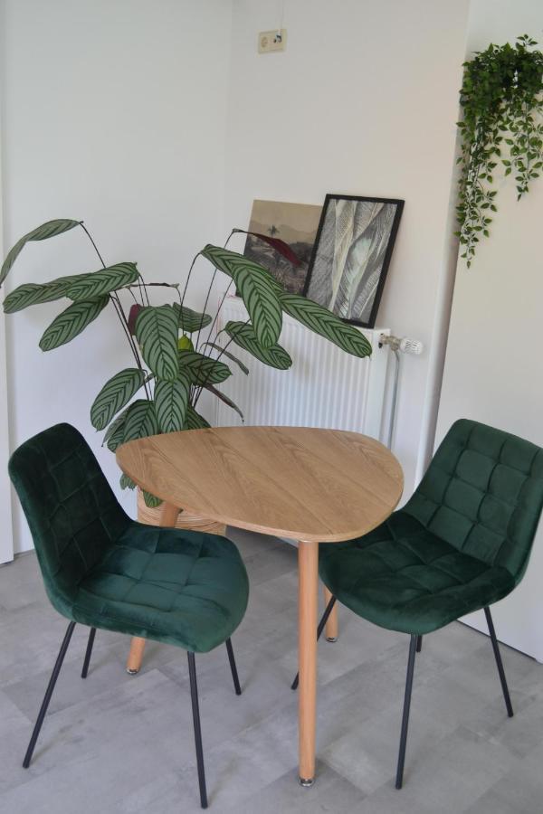Studio 38 Zandvoort Eksteriør bilde